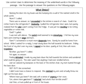 A reading vocabulary exercise.