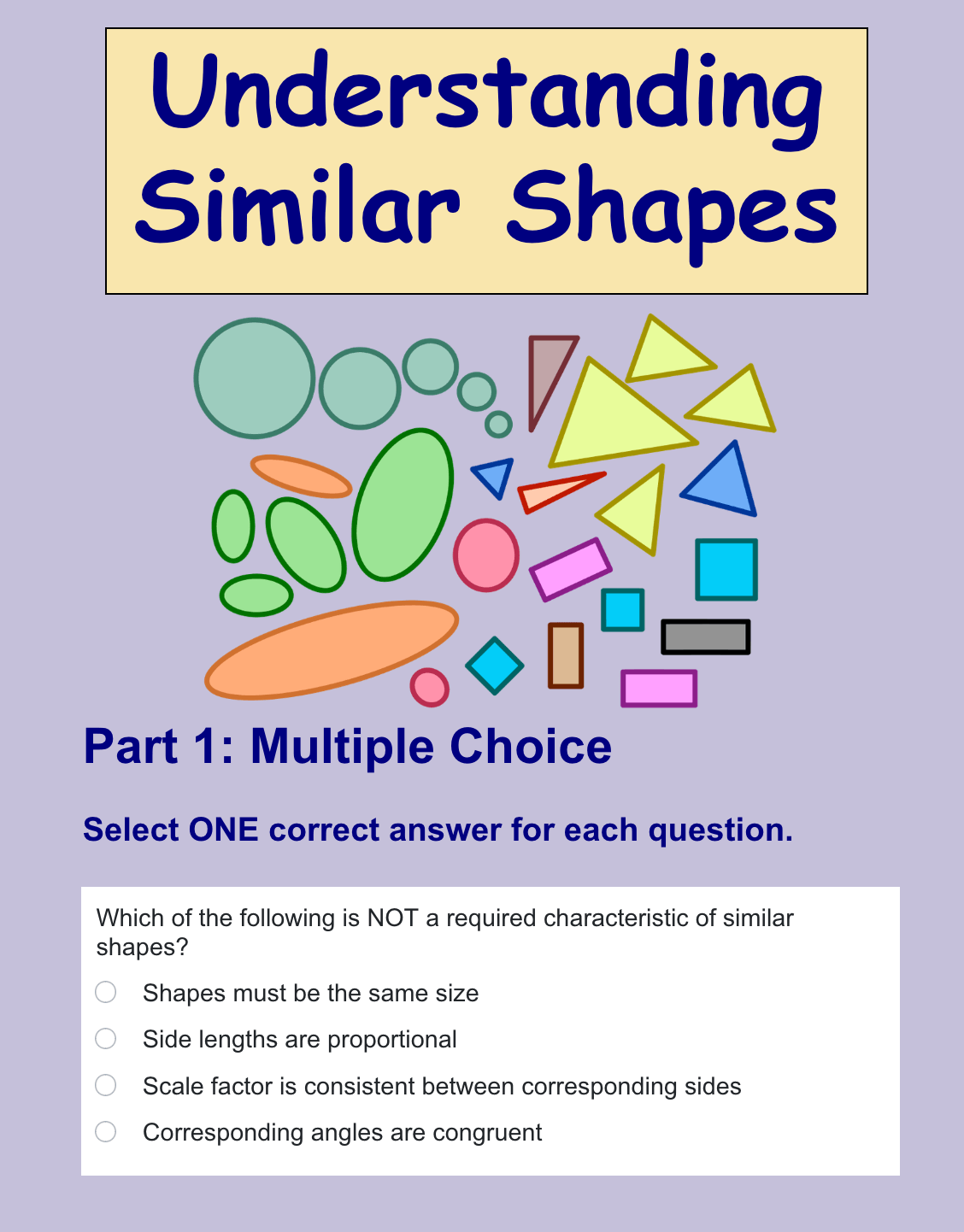 Geometry exercise Shapes Numeracy exercise Mathematics exercise Seasonal passage Classwork studio