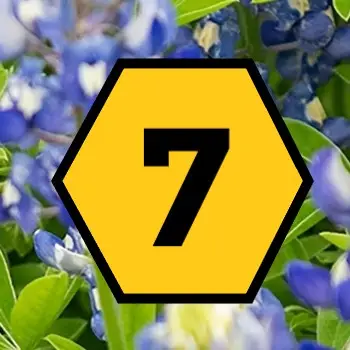 7 problems with Bluebonnet Math that Classwork.com's Texas Edition solves